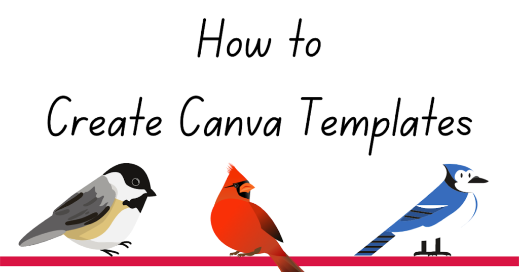 How to use Canva for beginners step by step