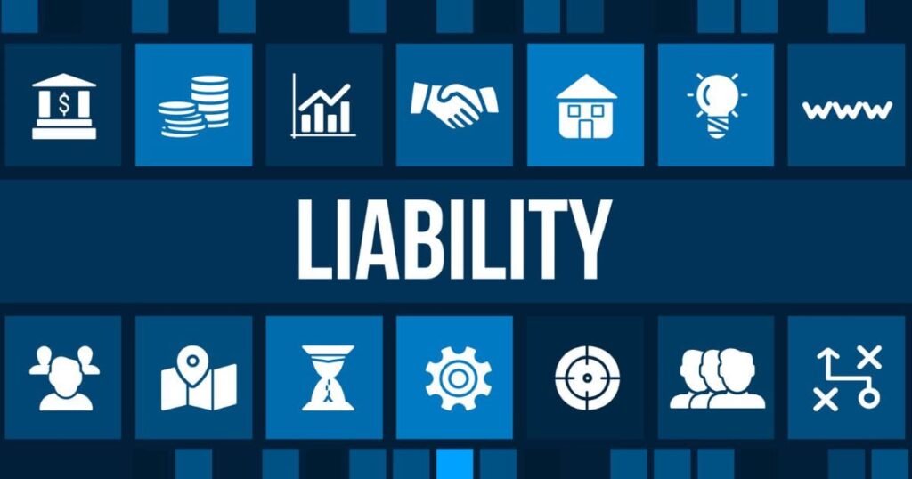 Financial liabilities and debt management documents