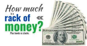 monthly budget savings and expense